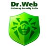 Антивирус Dr. Web Gateway Security Suite + ЦУ/ Антиспам 13 ПК 2 года эл. лиц. (LBG-AAC-24M-13-A3) - Изображение 1