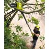 Цепная пила Ryobi высоторез ONE+ OPP1820 (без АКБ і ЗП) (5133001250) - Изображение 4