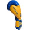 Боксерские перчатки PowerPlay 3021 Ukraine 16oz Blue/Yellow (PP_3021_16oz_Blue-Yellow) - Изображение 1