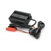 Мережевий зарядний пристрій для АКБ Voltronic LiFePo4 36V(43.8V), 12S, 6A (FY4386000-1) - Зображення 1
