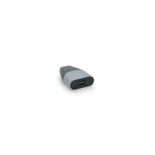 Переходник USB-C M to miniDisplayPort F black-gray Voltronic (YT-A-Type-C(M)/MiniDP(F)/27023)