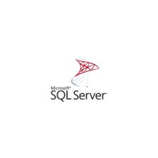 ПО для сервера Microsoft SQL Server 2025 Standard Edition and 15 CAL Pack, Charity, Perpetual (DG7GMGF0VNH6_0001CHR)
