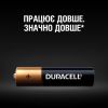 Батарейка Duracell AAA лужні 12 шт. в упаковці (5000394109254 / 81545432) - Зображення 2