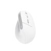 Мышка Trust Bayo II Ergonomic Wireless White (25398) - Изображение 1