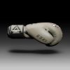 Боксерські рукавички Phantom Fight Squad Sand 10 унцій (PHBG2407-10) - Зображення 1