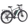 Електровелосипед Formula eCURSOR MAN AM DD 29 19 48B 17.5А*г 500Вт 2026 чорно-зелений (ELB-FR-29-244) - Зображення 2