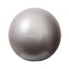 М'яч для фітнесу PowerPlay 4001 75см Silver + насос (PP_4001_75_Silver) - Зображення 1