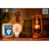 Лампочка Delux Globe G95 6Вт E27 2700К amber filament (90016727) - Изображение 3