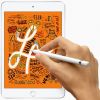 Планшет Apple A2124 iPad mini 5 Wi-Fi +4G 256GB Silver (MUXD2RK/A) - Изображение 4