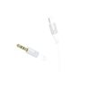 Кабель мультимедийный Lightning to 3.5mm M 1.0m BL19 white BOROFONE (6941991108570) - Изображение 1