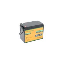Батарея LiFePo4 Dyness 25,6V 100Ah (80/100A) (Eco-Worthy-251002)