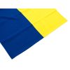 Прапор Vinga Україна, державний, 90*140см (VFUSDB140G) - Зображення 2