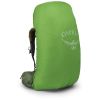 Рюкзак туристический Osprey Atmos AG 65 mythical green S/M (009.2789) - Изображение 3