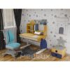 Парта с креслом Mealux Timberdesk S (парта+кресло+тумба) (BD-685 S+ box BD 920-2 BL+Y-115 BLG) - Изображение 1