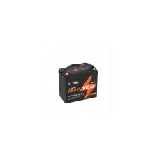 Батарея LiFePo4 Litime 12.8V 100Аh 1280Wh(100/100A) (L12V100-100-MINI-16-A60)