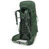 Рюкзак туристичний Osprey Talon 44 green canopy/pine leaf - L/XL - зелений (009.3830) - Зображення 2