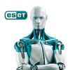 Антивирус Eset PROTECT Entry с локал. упр. 67 ПК на 1year Business (EPENL_67_1_B) - Изображение 1