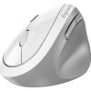 Мишка Genius Ergo 8350S AI Silent Wireless White/Grey (31030041401) - Зображення 1