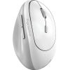 Мишка Genius Ergo 8350S AI Silent Wireless White/Grey (31030041401) - Зображення 2