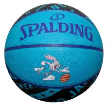 Мяч баскетбольный Spalding Space Jam Tune Squad Bugs мультиколор Уні 5 84605Z (689344413488)