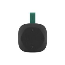 Акустическая система Canyon HEXAGON 10 Black/Green (CNE-CBTSP10BG)