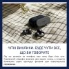 Навушники Philips TAQ2000BK/00 Wireless Black (TAQ2000BK/00) - Зображення 2