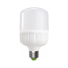 Лампочка EUROELECTRIC Plastic 30W E27 6500K 220V (LED-HP-30276(P))