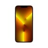 Мобільний телефон Apple iPhone 13 Pro Max 256Gb Gold (REF B) BREEZY (2BMLLD3) - Зображення 1