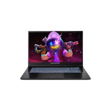 Ноутбук Dream Machines RG5070-17 (RG5070-17UA30)