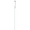 Дата кабель USB-C to Lightning Cable (1 m), Model A2561 Apple (MM0A3ZM/A) - Изображение 1