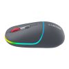 Мышка Canyon MW-22 Dual Band RGB Wireless Dark Grey (CNS-CMSW22DG) - Изображение 3