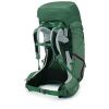 Рюкзак туристический Osprey Aura AG LT 65 koseret/darjeeling spring green WXS/S (009.3288) - Изображение 2