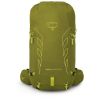 Рюкзак туристичний Osprey Talon Velocity 30 matcha green/lemongrass L/XL (009.3544) - Зображення 1