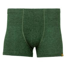 Термотруси Turbat Retezat Boxer Mns kombu green L (012.002.0685)