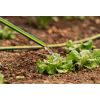 Шланг для поливу 2E AquaFlex Emerald Pro, 1/2, 20м, 4 шари, 20бар, -10…+60°C, зрошувач, 2 конектори, адаптер (2E-GHE12ED20) - Зображення 3