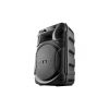 Акустическая система Defender Boomer 12 (65412) - Изображение 2