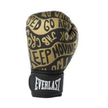 Боксерские перчатки Everlast Spark Boxing Gloves 919580-70-8110 чорний/золотий 10 oz (009283613297)