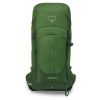 Рюкзак туристичний Osprey Stratos 26 seaweed/matcha green - O/S - зелений (009.3703) - Зображення 1