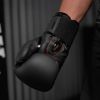 Боксерские перчатки Phantom Germany Eagle Black 16oz (PHBG2323-16) - Изображение 3