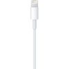 Дата кабель USB 2.0 AM to Lightning 2.0m Apple (MD819ZM/A) - Изображение 1