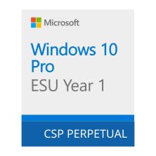 Операционная система Microsoft Windows 10 ESU Year 1 (2025 - 2026) Extended Security Updates (ESU) (DG7GMGF0SSGZ_0004)