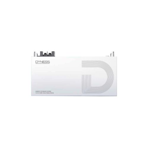 Батарея LiFePo4 Dyness DL2.5, 25.6V/100Аh 2,56kWh (DL2.5)