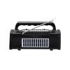 Акустична система NEWVEW NV-9010 Solar Panel/BT/USB/TF/FM Black (NWVW-NV-9010-BK) - Зображення 1