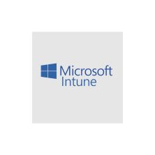 Офисное приложение Microsoft Intune P1Y Annual License (CFQ7TTC0LCH4_0009_P1Y_A)