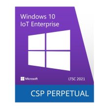 Операционная система Microsoft Windows 10 IoT Enterprise LTSC 2021 Perpetual, Commercial, OneTime (DG7GMGF0H3RD_0002)