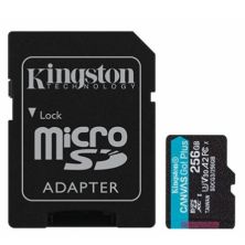 Карта пам'яті Kingston 256GB microSDXC class 10 UHS-I U3 A2 Canvas Go Plus (SDCG3/256GB)