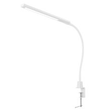 Настольная лампа Eurolamp LED-TLS-8W(white)