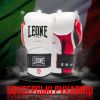 Боксерские перчатки Leone GN113 IL Tecnico N3 White 10 унцій (GN113_White_10oz) - Изображение 1