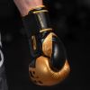 Боксерские перчатки Phantom APEX Elastic Gold 10oz (PHBG2215-10) - Изображение 3