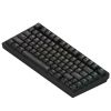 Клавиатура Dark Project ALU81 Terra Nostra PBT RGB Mech G3MS Moonstone Black (DPKB_NOSTRA_81_ANSI_BLACK_UA) - Изображение 2